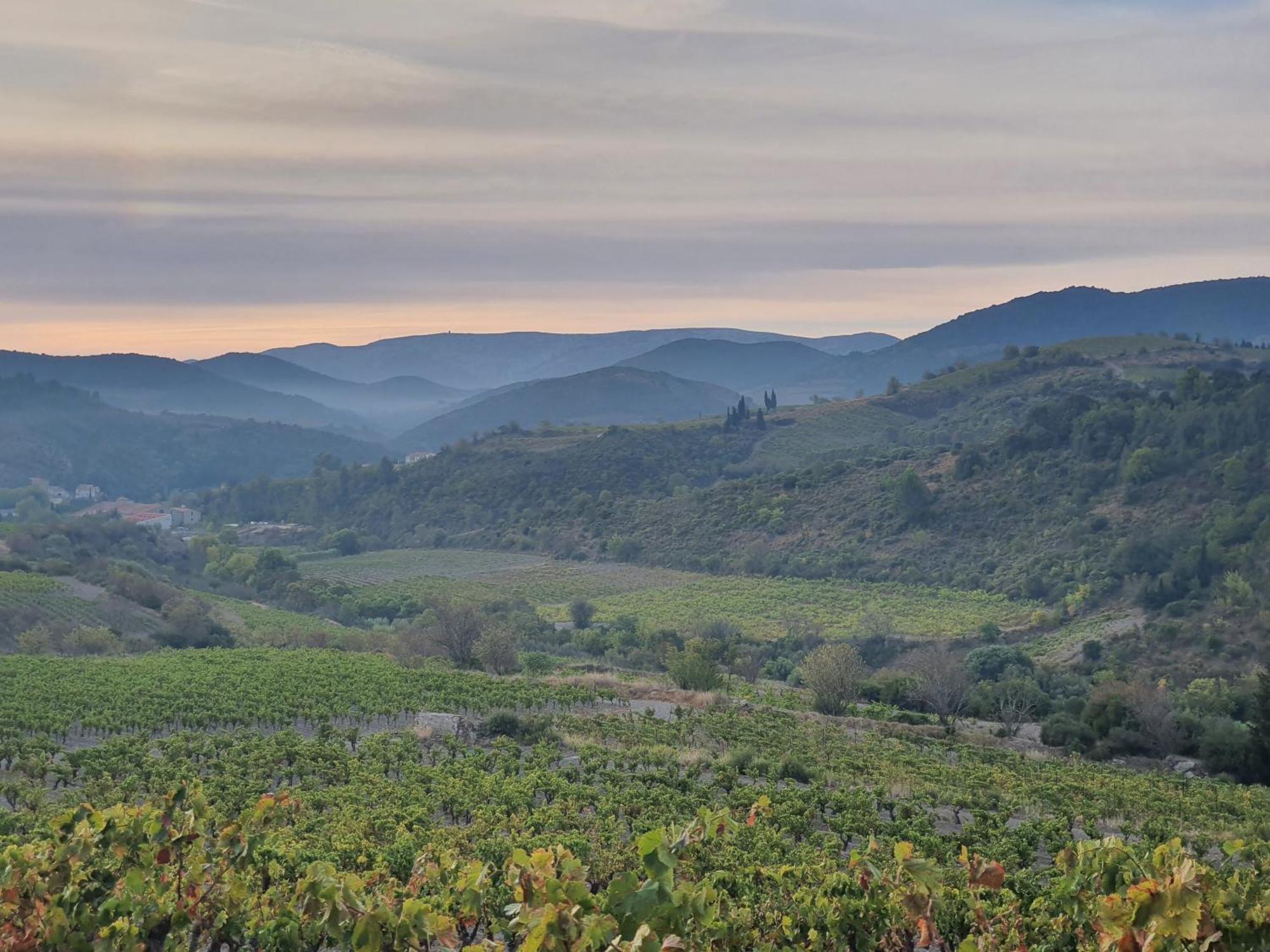 La Barbacane De Cascastel-Des-Corbieres Ngoại thất bức ảnh
